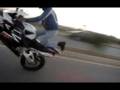 cbr 954 wheelie