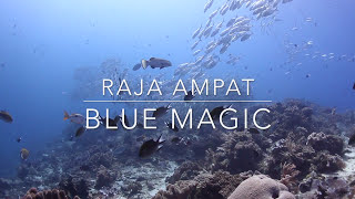 Blue Magic - Raja Ampat - Indonésie