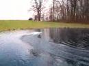 Misshydro budwieser .21 boat Misshydro budwieser .21 boat
