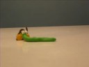 Dancing With The Worm