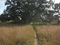 Reimers Ranch park in Dripping Springs , Tx