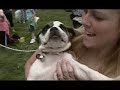 Puppy Pride Event May 31'st 2008