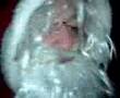 samichlaus-schmutzli