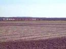 NS C39-8\