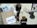 [Fancam] Girls' Generation (SNSD) JFK airport 120203
