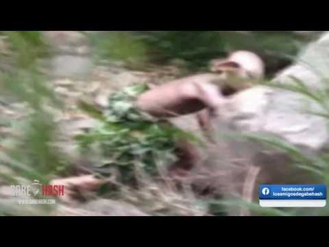 ¿TURISTA CHINO FOTOGRAFIA MONSTRUO TIPO