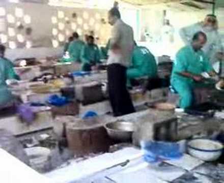 Fish Market ajman/ DUBAI