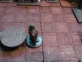 videos de Beowulf School Project.