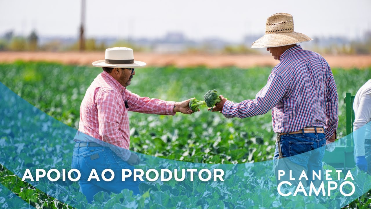 CONSULTORIA E APOIO TÉCNICO AO PRODUTOR RURAL