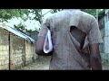 best short film of child labour