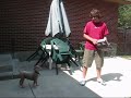 Fun Things To Do With Your Broken Nintendo