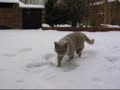 Lotte und der Schnee.wmv