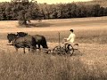 Farming in Norway