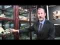 The Bob Ernst Collection of Marine Fossils and Natural History Highlights at Bonhams & Butterfields