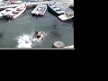 Lobstah Descent