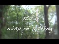WISP OF A THING short trailer