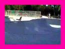 VIDY BOWL