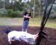 trying to land on the swing