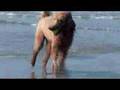 Maui the Standard Poodle Plays Ball at the beach
