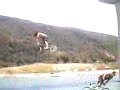 PARIDEFMX