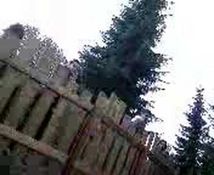 Onze Youtube actie in Walibi