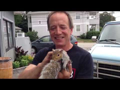 how to care squirrel
