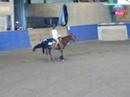 Freestyle Reining Emelie and Bingos Catalyst