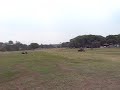Role di carinho Role di carinho