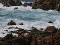 La cavalcata delle onde...