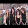 Sparx - 15 Rosas