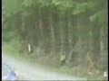 Rally car crash 2  - accident
