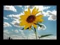 MARAVILLOSAS SON TUS OBRAS, Vol. VI. 1.- TE ALABO MI SEÑOR..wmv