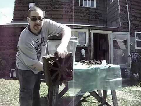 how to fertilize with worm tea