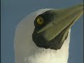 New Caledonia Travel Doc  Part 03