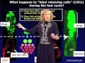 Elaine Fuchs (Rockef