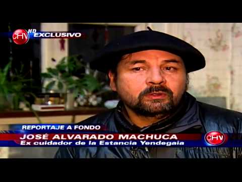 caballos salvajes - Un empresario y criador de equinos denunció los crueles mecanismos que utilizan en tierras que pertenecen al Estado de Chile.