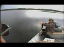 Big Walleye and some nice pike
