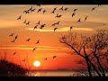 poem-tuluiislam-renaissance-of-islam-by-iqbal-1.html