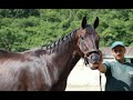 hipica-colorado.html