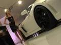 Lamborghini-Unleashe