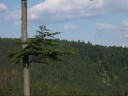 G�ry suche - czarnek 868 m npm - poar - dogaszanie poaru/pogorzeliska (pena wersja!)