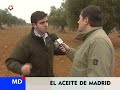 Aceite de oliva de madrid Vega Carabaña