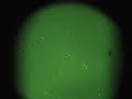 UFO Fleet/IR/Freemont California 11/30/08 UFO Fleet/IR/Freemont California 11/30/08