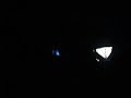 muse-take-a-bow-live-in-lyon.html