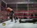 Shawn-Michaels-Tribu
