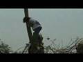 videos de Knotten 5