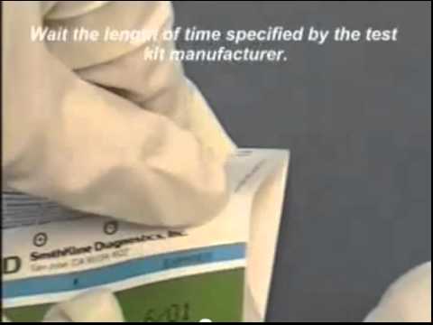 how to collect occult blood stool