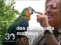 est-ce que les animaux savent compter et calculer?
k�nnen tiere z�hlen und rechnen?
can animals count and calculate?