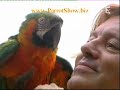 est-ce que les animaux savent compter et calculer?
k�nnen tiere z�hlen und rechnen?
can animals count and calculate?