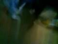 videos de UNA LOCA SUELTA VICA